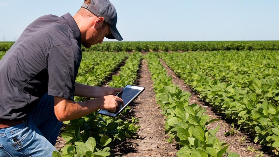 ByteSavy - Custom Software Development 1